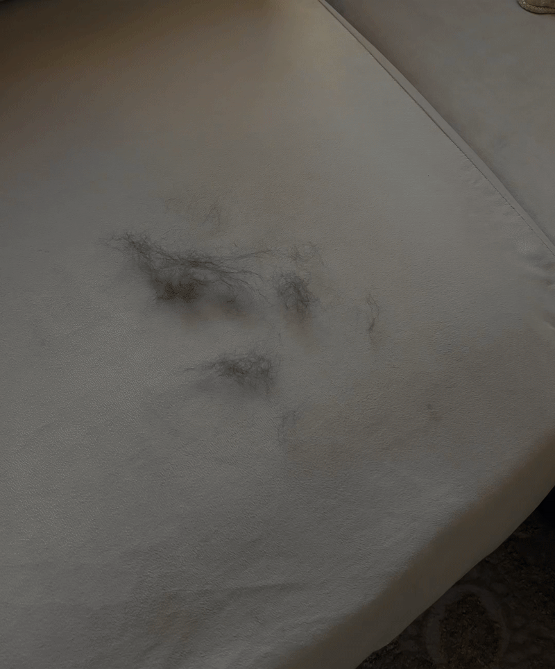 PoilAway - Gant Anti-poil d'animaux