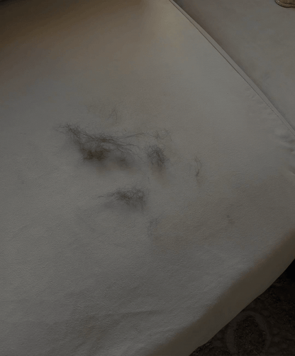 PoilAway - Gant Anti-poil d'animaux